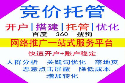 行业内的SEM竞价策略与效果对比案例